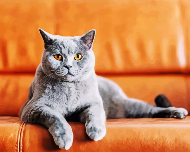 Aesthetic cat with orange eyes paint by numbers Cat Eyes Paint By Numbers