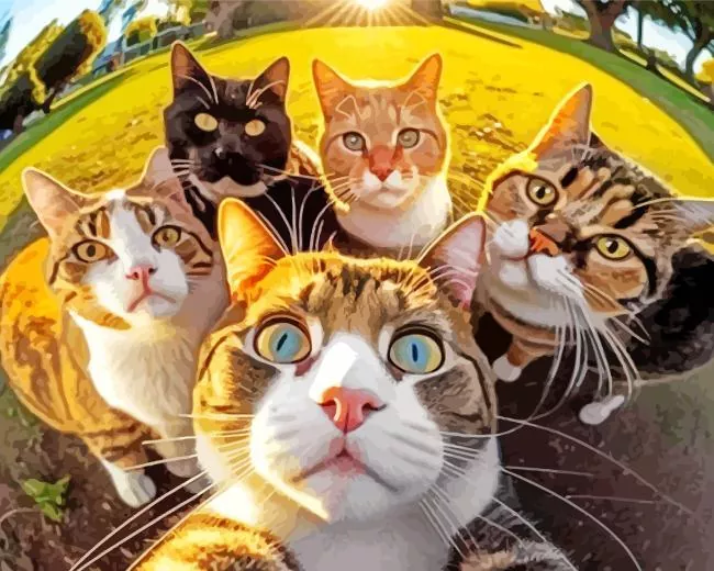 Aesthetic group cats selfie paint by numbers Group Cats Selfie Paint By Numbers