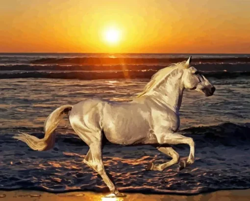 Running Horse Paint By Numbers