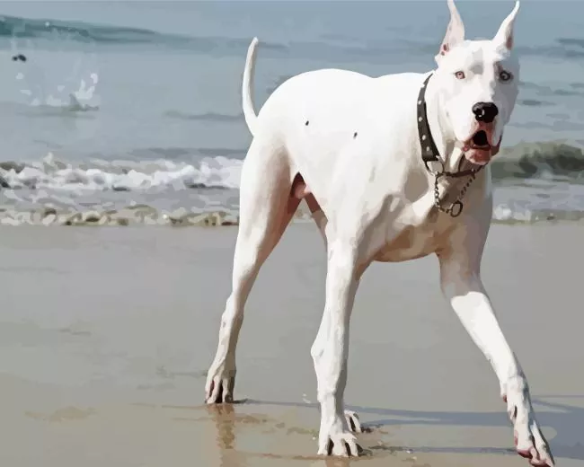 aesthetic great white dane paint by numbers Great White Dane Paint By Numbers