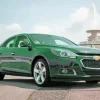Green Malibu Paint By Numbers