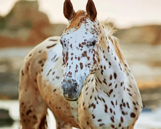 appaloosa leopard paint by number Appaloosa Leopard Paint By Numbers