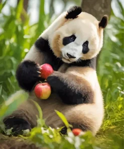 Apples Panda Paint By Numbers