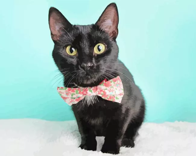 black tie cat paint by number Black Tie Cat Paint By Numbers