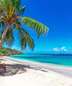 Island Nassau Paint By Numbers