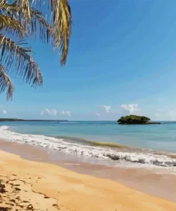 Puerto Plata City Paint By Numbers