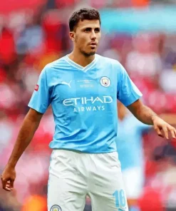 Soccer Player Rodri Paint By Numbers