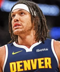 Aaron Gordon Paint By Numbers