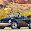Beetle Convertible Paint By Numbers