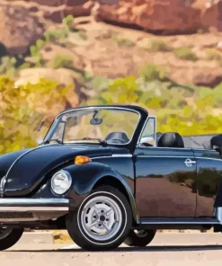 Beetle Convertible Paint By Numbers