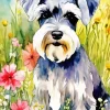 Grey Scottish Terrier Paint By Numbers