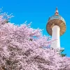 Namsan Tower Paint By Numbers