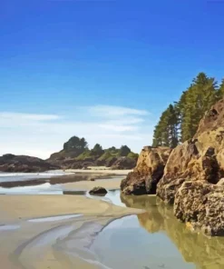 Vancouver Island Paint By Numbers