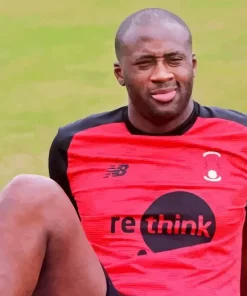 Yaya Toure Paint By Numbers