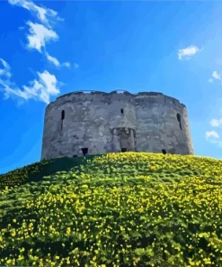 Cliffords Tower York Paint By Numbers