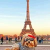 Dog In Paris Paint By Numbers