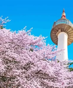 The Namsan Tower Paint By Numbers