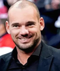 Player Wesley Sneijder Paint By Numbers