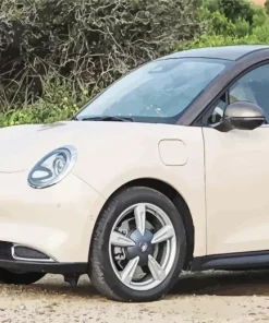 GWM Ora Paint By Numbers