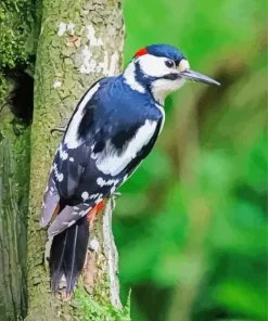Great Spotted Woodpecker Paint By Numbers