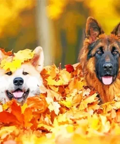 German Shepherd Paint By Numbers