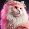 Aesthetic Fluffy Cat Paint By Numbers
