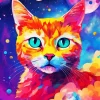 Galaxy Cat Art Paint By Numbers
