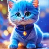 Cute Baby Blue Cat Paint By Numbers