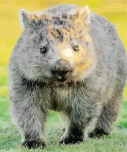 Baby Wombat Paint By Numbers