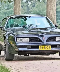 Black Firebird 78 Paint By Numbers