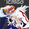 Ichigo Half Hollow Paint By Numbers