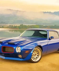 1977 Trans Am Paint By Numbers
