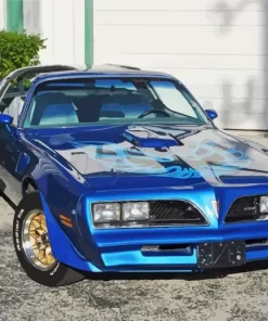 1978 Trans Am Paint By Numbers