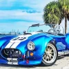 Blue Ac Cobra Car Paint By Numbers
