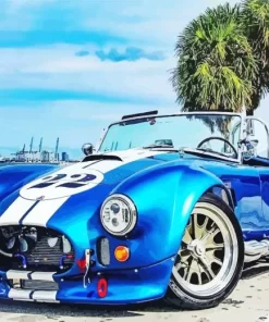 Blue Ac Cobra Car Paint By Numbers