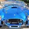 Blue Ac Cobra Paint By Numbers