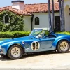 Ac Cobra Race Car Paint By Numbers
