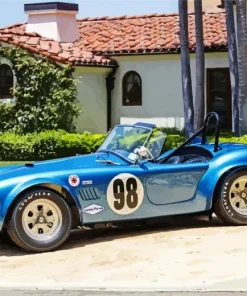 Ac Cobra Race Car Paint By Numbers