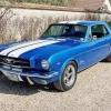 Blue Mustang Paint By Numbers