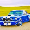 Classic Mustang Paint By Numbers