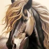 Grey Horse Paint By Numbers