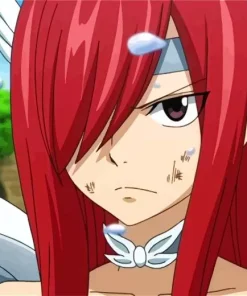 Erza Scarlet Paint By Numbers