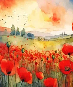 Poppy Flowers Art Paint By Numbers