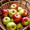 Basket Of Apples Paint By Numbers