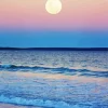 Beach With Moon Paint By Numbers