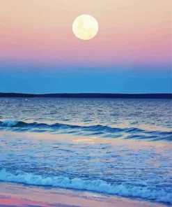Beach With Moon Paint By Numbers