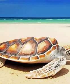 Beach With Turtle Paint By Numbers