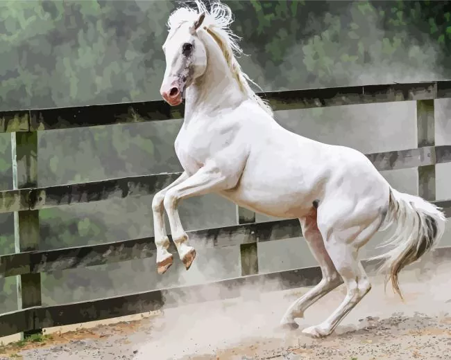 beautiful white stallion paint by number Beautiful White Stallion Paint By Numbers
