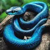Black And Blue Snake Paint By Numbers