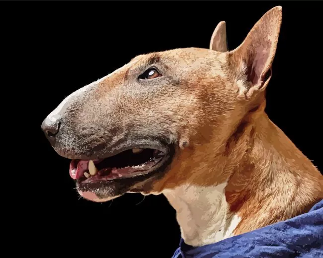 black and brown bull terrier paint by numbers Brown Bull Terrier Paint By Numbers